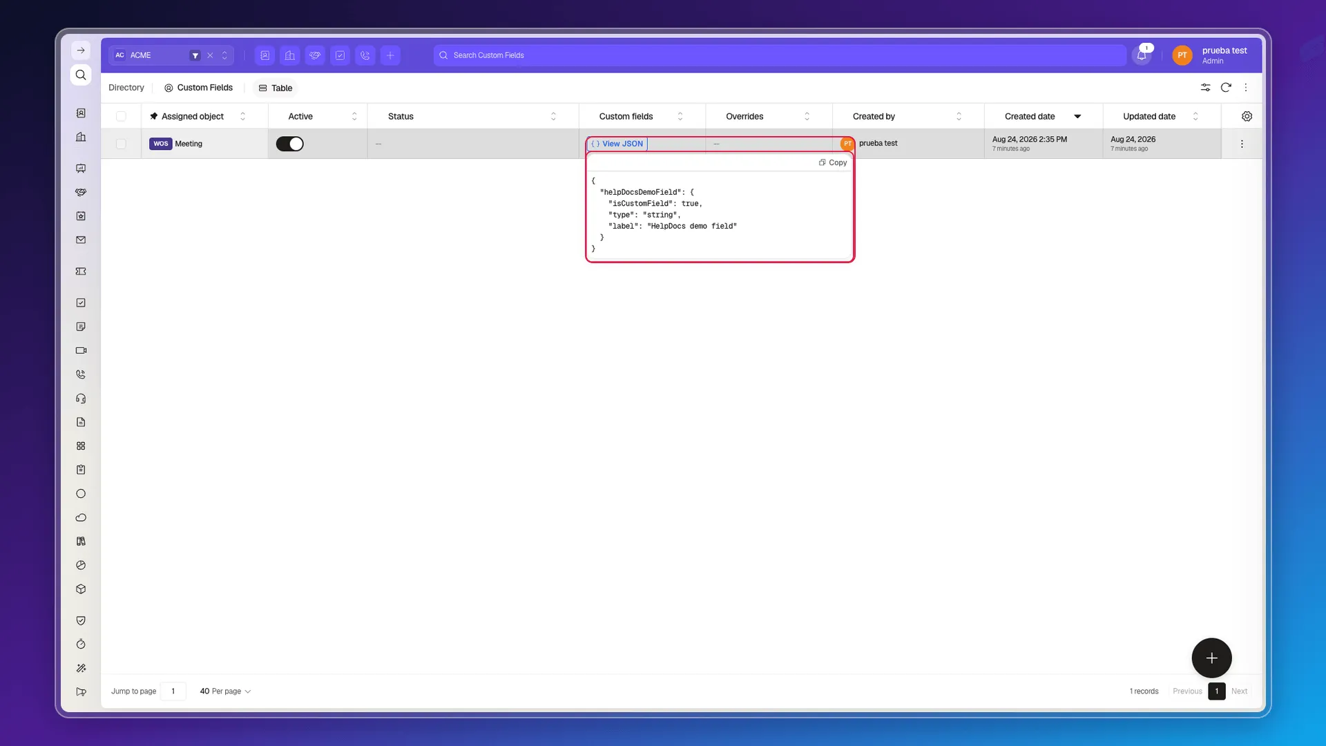 View JSON window showing the Meeting object's custom field schema