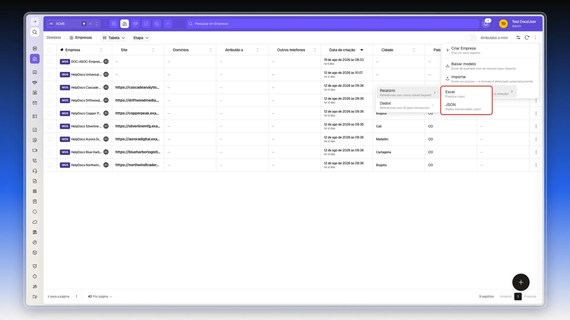 Submenu de Relatório com os formatos Excel e JSON